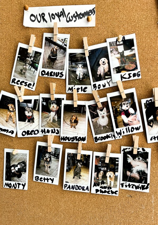 Garder un souvenir et honorer la mémoire de votre animal : idées et conseils